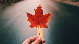 幸福夫妻的相处之道