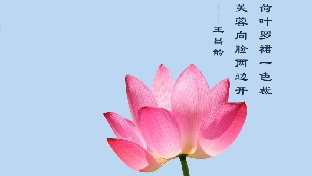 如何看待“万事不求人”处事原则？——CBT知识普及