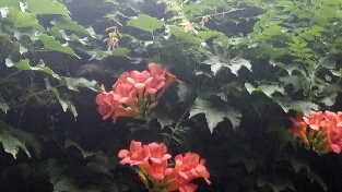 最可怕的情话一我为你好