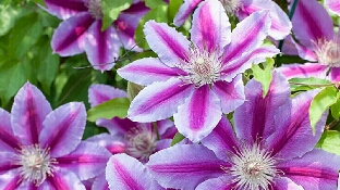 很多人说，为什么他有福气我没有福气？