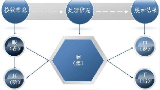 孩子注意力不集中的心理分析
