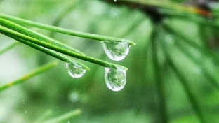 吃苦教育是孩子教育的必修课