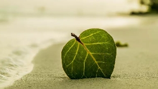 如何维系与浪子回头的另一半的关系？