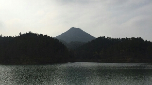 最好的答案