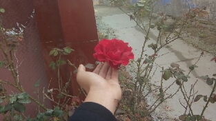 人与人本无别，奈何我们自找吃