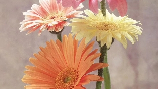 十个人生感悟小故事