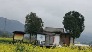 梳理达人