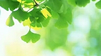 你不是喜欢痛苦，你只是习惯了痛苦｜如何停止喜欢不喜欢你的人？