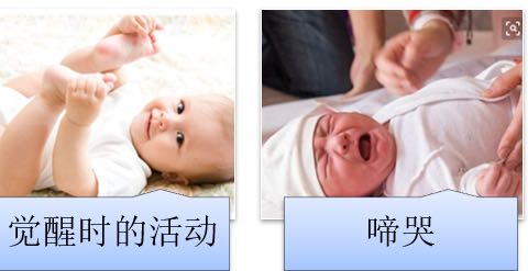 婴儿的行为与发展