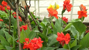 不要做一半的人