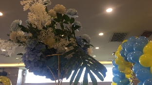 情感相助