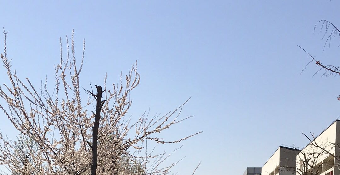 什么时候需要做心理咨询