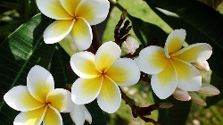 控制自己情緒的三個方法