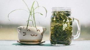 初次见面，我比你还紧张