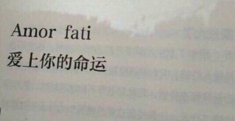 也许Ta不是你那个对的人，所以该放手了。