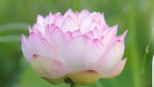 做人要有积善积德之心，做人一定要学会积八个德！