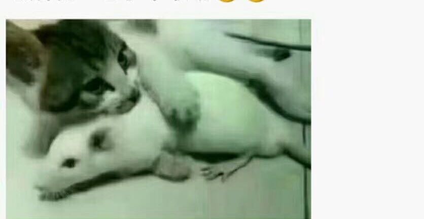 亲密关系中如何争吵
