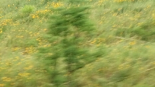 胡思乱想是什么病？ 7种方法帮你缓解心情