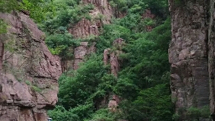 她的无名火来自于性压抑