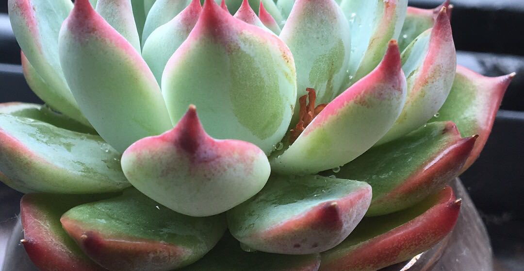 婚姻修炼--如何搞定逃避交谈的丈夫（李子勋）