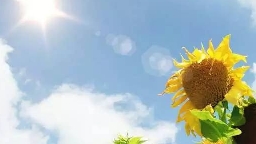 怎样保持好心情( ﹡ˆoˆ﹡ )