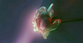 如何跳出心的困境（下）