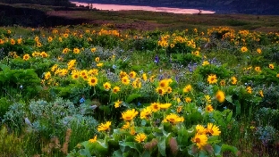 千万不要怒气冲冲