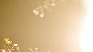 最可怕的感情是什么样儿的