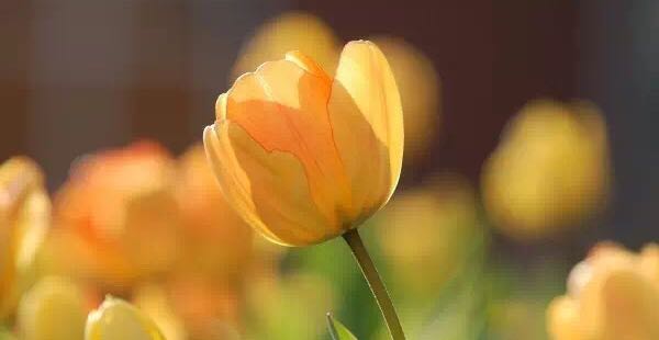 学会选择，过有选择的人生