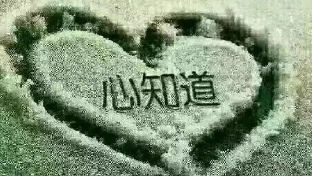 为什么放下很难？
