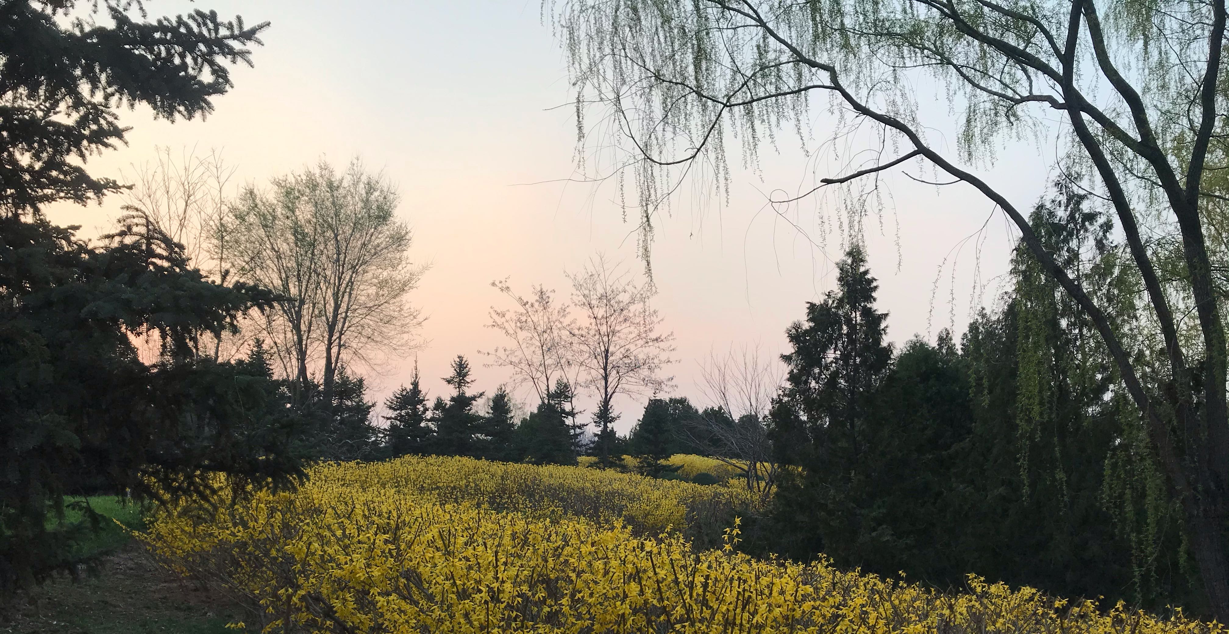爱要有几度才合适？