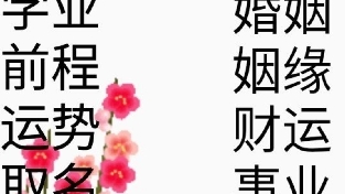 旺桃花运