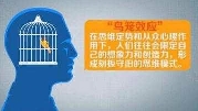 十大心理效应之一鸟笼效应