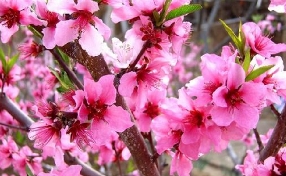 相冲相合，感性多折。
