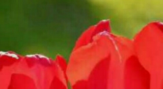 陪伴，是最好的教育