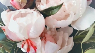 自律是人生中首要问题