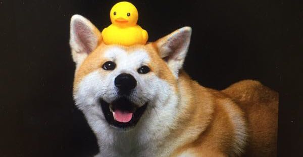 为什么我们总是感觉疲惫和累？丨关于压力