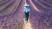 【心理测试】你了解你自己吗？
