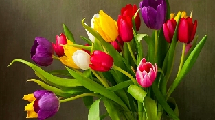 心理知识：偏执性人格障碍