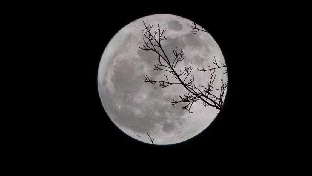 多面修炼术，让男人永远对你保持激情