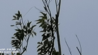 挽回