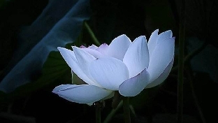 破窗效应