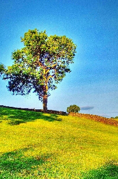 认知层次不同的人，是很难沟通的
