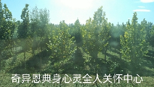 走出抑郁的26条建议