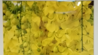 忧郁症的团体治疗