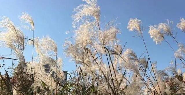 恋爱关系里的度你掌握好了吗？