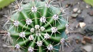 为什么我们总因为小事起争吵？