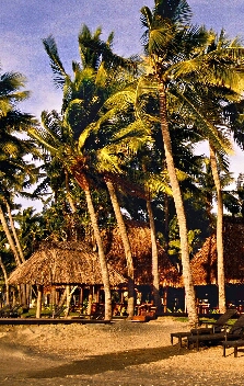 当你的能力撑不起野心时，所有的路都是弯路