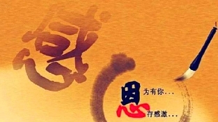 感恩父母的不完美