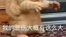 有多少关系毁在不会说话